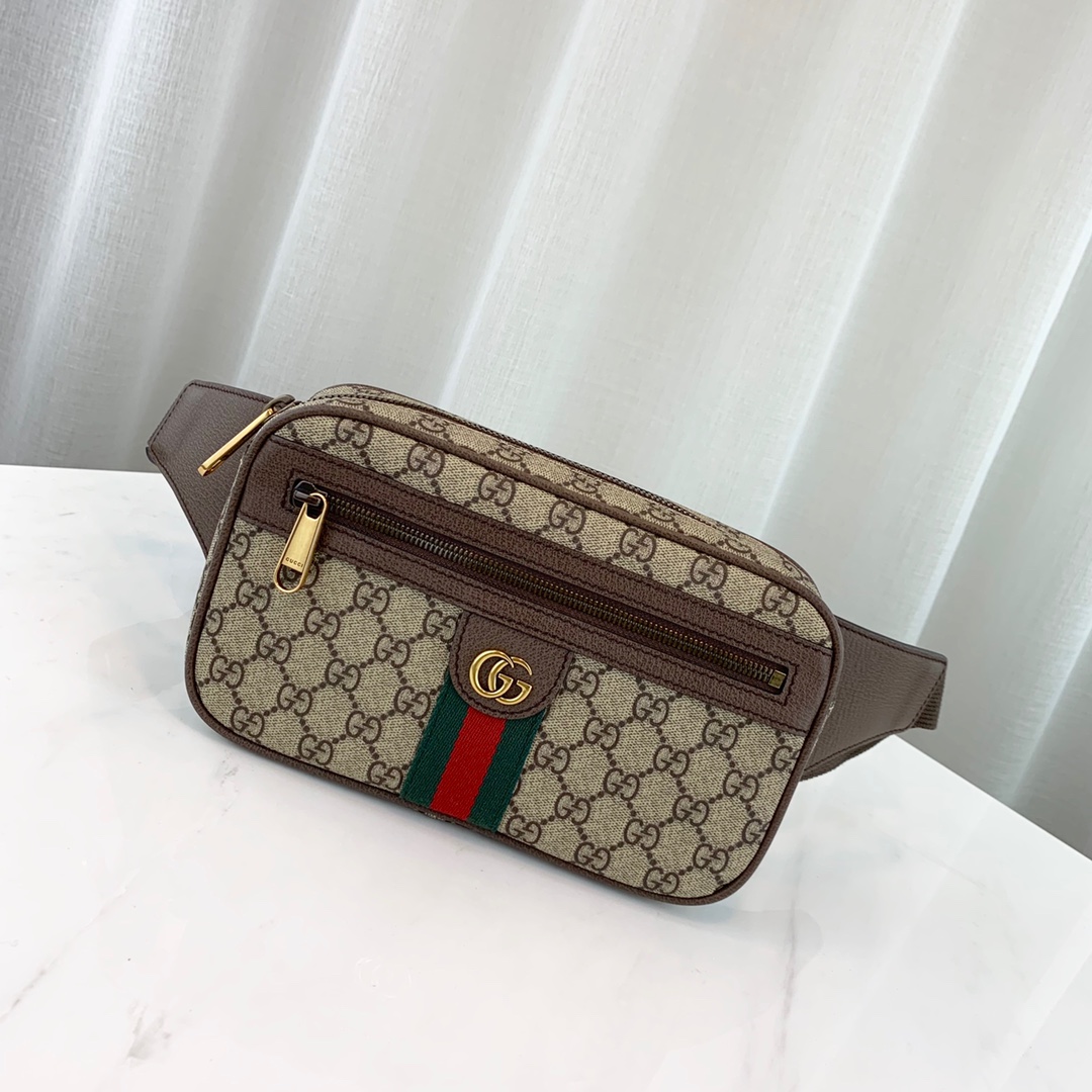 g*u*i ophidia gg S*p*e belt bag-24*14*5cm
