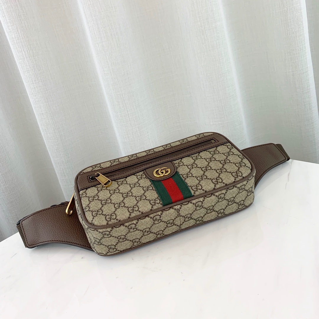 g*u*i ophidia gg S*p*e belt bag-24*14*5cm