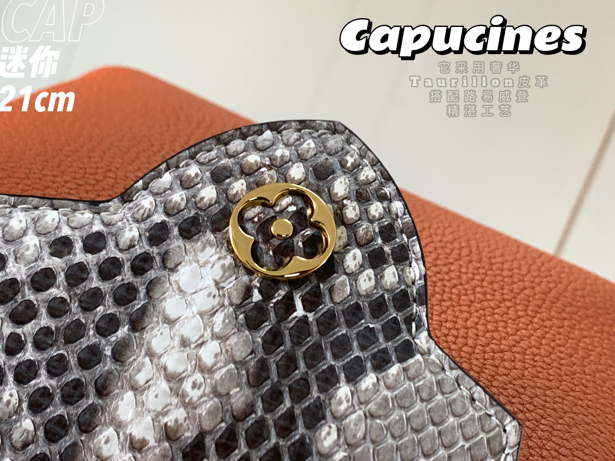 l0*is V*t0n mini capucines handlebag-21*14*8cm