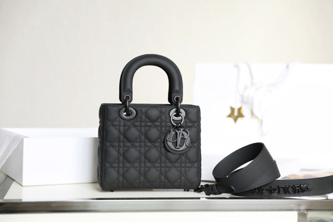 D*or lady bag-20*16.5*8cm