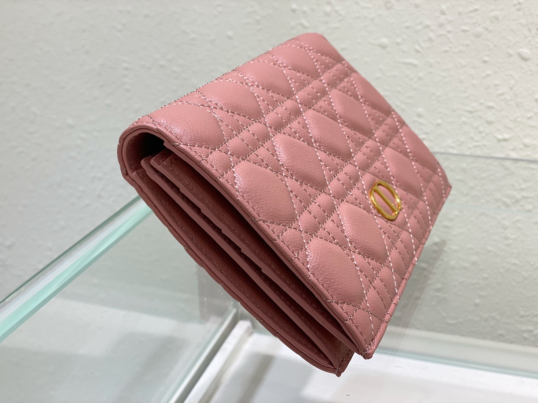 D*or caro wallet-19.5cm