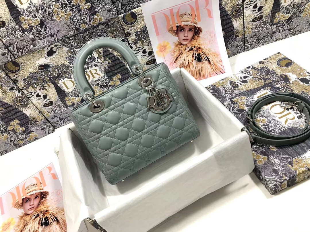 lady D*or handle bag-24cm