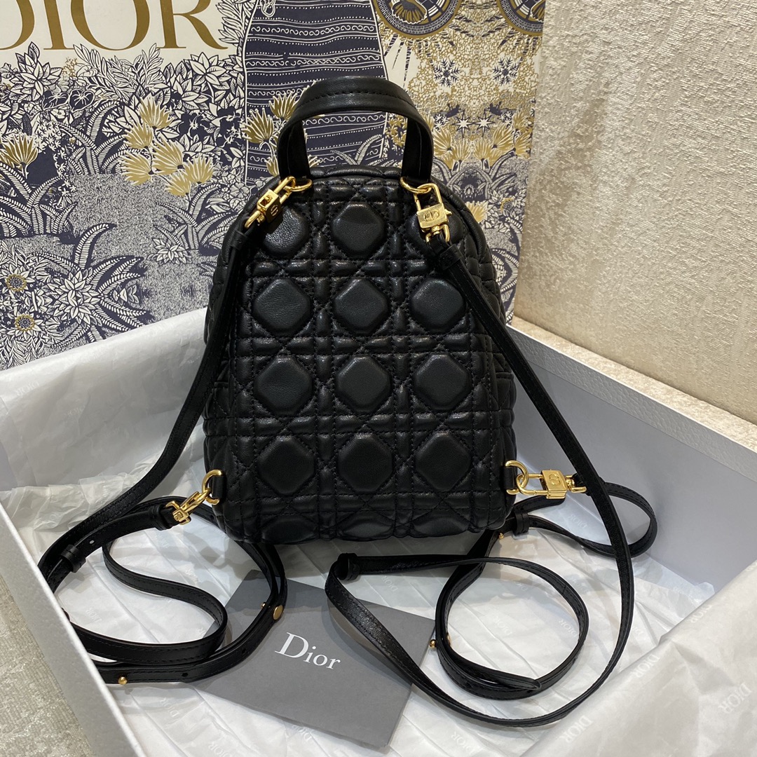D*or backpack