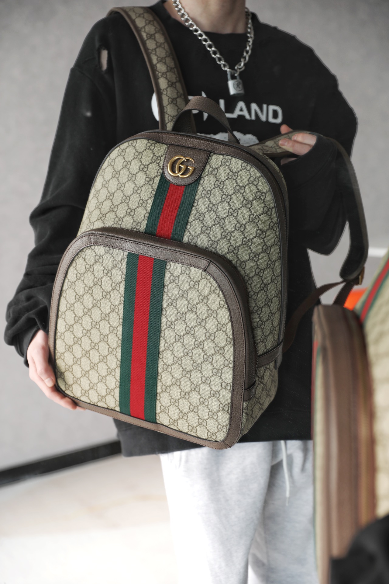 G*u*i ophidia backpack-32*40.5*14.5cm