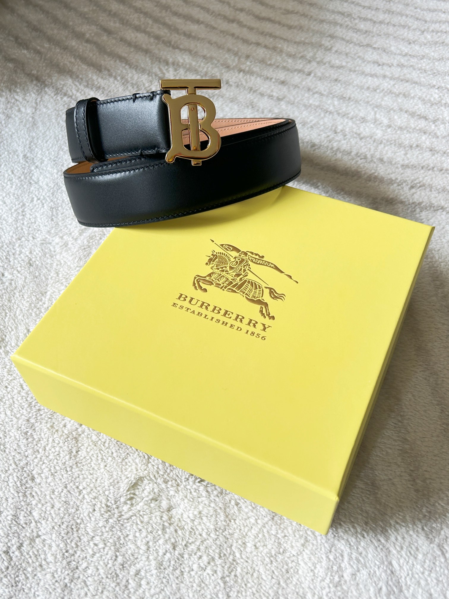 Bv*b*rry Belt-3.5CM